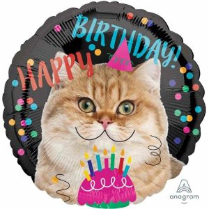 Foil Balloons |   45Cm Hx Happy Birthday Cat – Non Inflated Balloons Foil Balloons