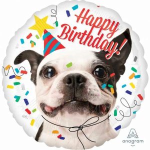 Foil Balloons |   45Cm Hx Happy Birthday Dog S40 – Non Inflated Balloons Foil Balloons