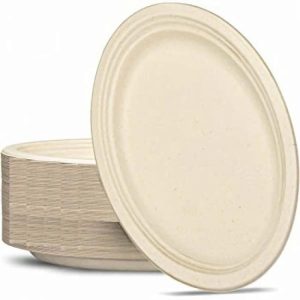 Plates, Bowls & Trays |   Sugarcane Oval Plates 325X260Mm Natural P50X5 Party Supplies Plates, Bowls & Trays