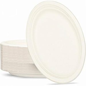 Plates, Bowls & Trays |   Sugarcane Oval Plates 325X260Mm White P50 Party Supplies Plates, Bowls & Trays